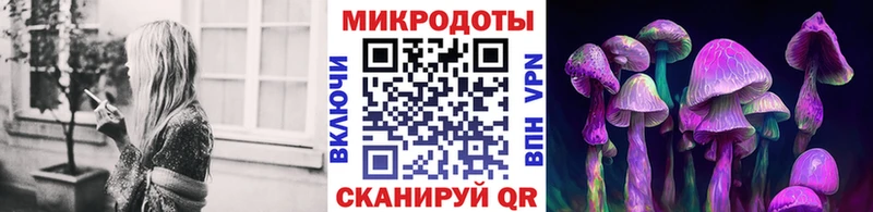 Галлюциногенные грибы Psilocybe Каргат